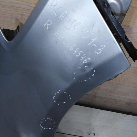 krylo-perednee-pravoe-renault-sandero-i-defekty-art-108407-big-7