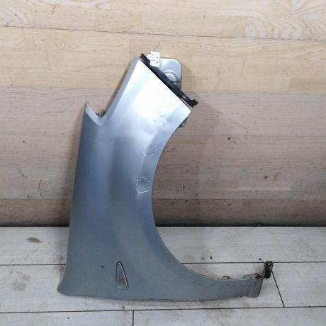 krylo-perednee-pravoe-renault-sandero-i-defekty-art-108407-big-0