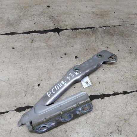 petlia-kapota-pravaia-renault-sandero-i-art-108491-big-0