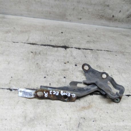 petlia-kapota-pravaia-geely-emgrand-ec7-art-110945-big-0