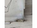 krylo-perednee-pravoe-fiat-ducato-ii-art-111457-small-3