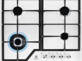 vstraivaemye-electrolux-egs6436ww