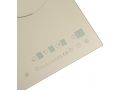 indukcionnaia-maunfeld-evi453-bg-small-3