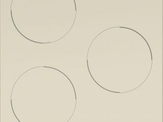 indukcionnaia-maunfeld-evi453-bg