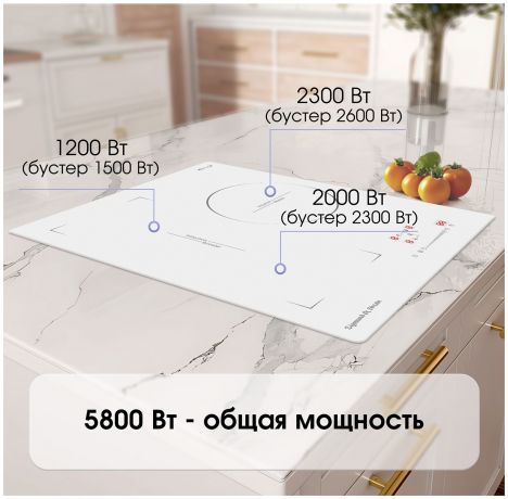 elektriceskaia-varocnaia-panel-zigmund-shtain-ci-494-w-big-2