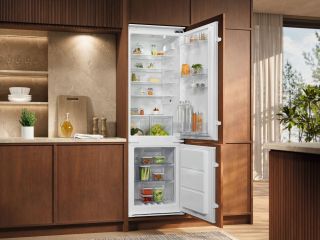 vstraivaemye-electrolux-ent6ne18s