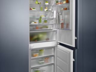 vstraivaemye-electrolux-enp7td75s