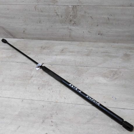 amortizator-kapota-audi-a6-c6-art-21097-big-0