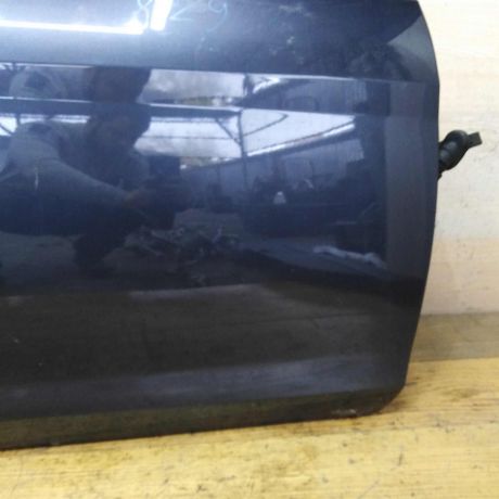 dver-peredniaia-pravaia-ford-focus-2-rest-art-41067-big-9