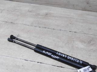 amortizator-kapota-upor-nissan-murano-i-z50-art-59950