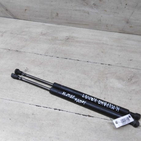 amortizator-kapota-upor-nissan-murano-i-z50-art-59950-big-0