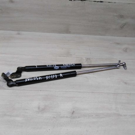 amortizator-kapota-hyundai-sonata-4-ef-art-72463-big-0