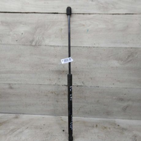 amortizator-kapota-renault-sandero-i-art-105867-big-0