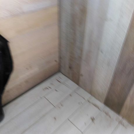 dver-zadniaia-pravaia-ford-focus-2-dorestailing-art-106029-big-3