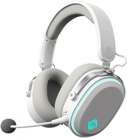 nausniki-s-mikrofonom-gmng-1899880-big-0