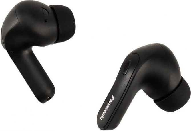 garnitura-vnutrikanalnye-panasonic-rz-b310wdg-k-big-2