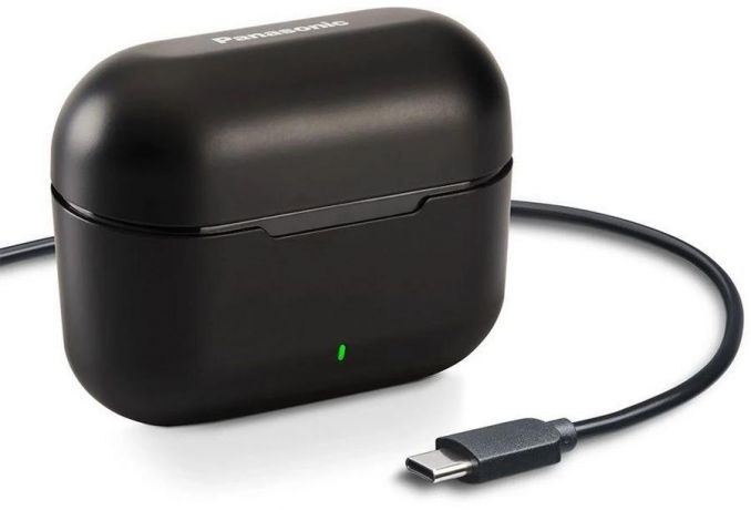 garnitura-vnutrikanalnye-panasonic-rz-b310wdg-k-big-3