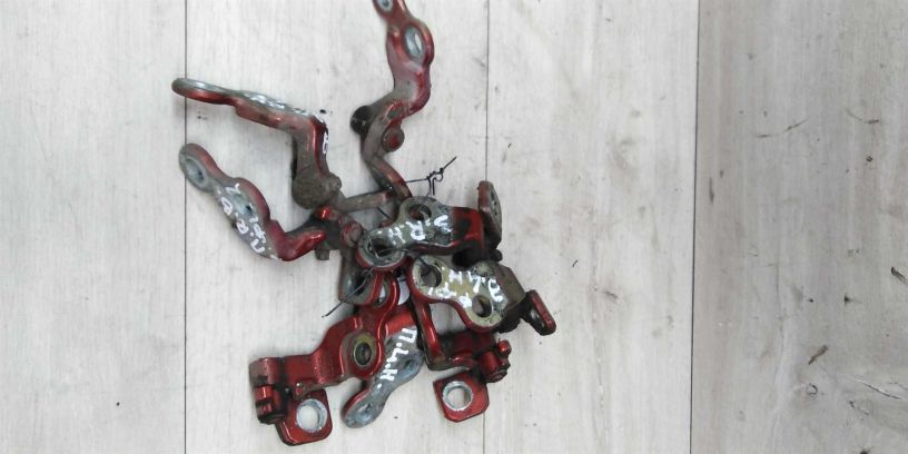 petlia-dveri-ford-focus-art-14720-big-0