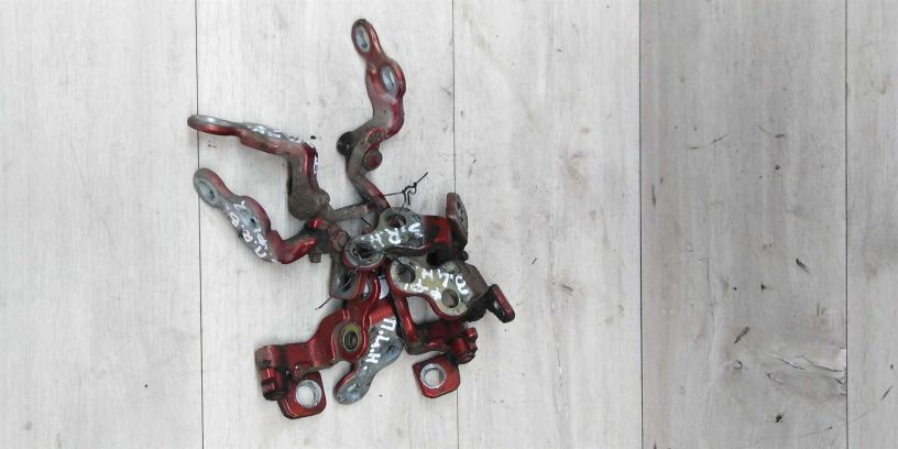 petlia-dveri-ford-focus-art-14720-big-1