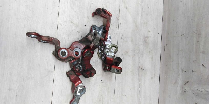 petlia-dveri-ford-focus-art-14720-big-2