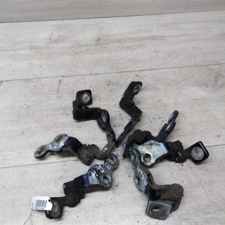 petlia-dveri-ford-focus-art-31441-big-0