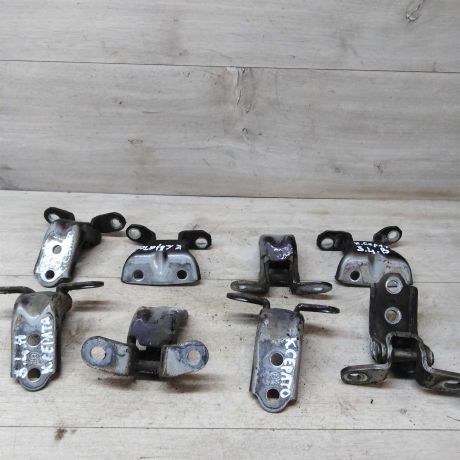 petlia-dveri-kia-cerato-2-art-31898-big-1