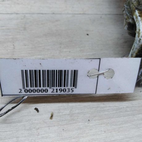 petlia-dveri-zadniaia-pravaia-nizniaia-mercedes-benz-vito-w638-art-35795-big-4