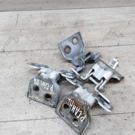 petlia-dveri-renault-sandero-art-36570-big-0