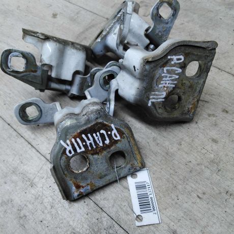 petlia-dveri-renault-sandero-art-36570-big-1