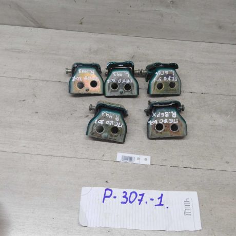 petlia-dveri-peugeot-307-art-51156-big-0