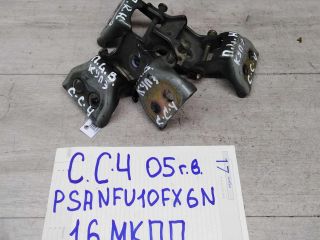 petlia-dveri-citroen-c4-05gv-art-51166