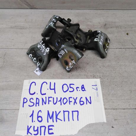 petlia-dveri-citroen-c4-05gv-art-51166-big-0