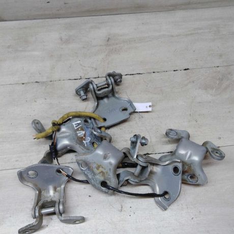 petlia-dveri-chevrolet-lanos-art-64698-big-0