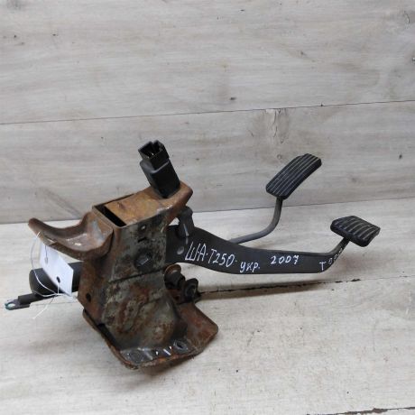 pedalnyi-uzel-chevrolet-aveo-t250-art-66995-big-0