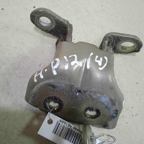 petlia-dveri-levaia-nissan-primera-p12-art-75937-big-1