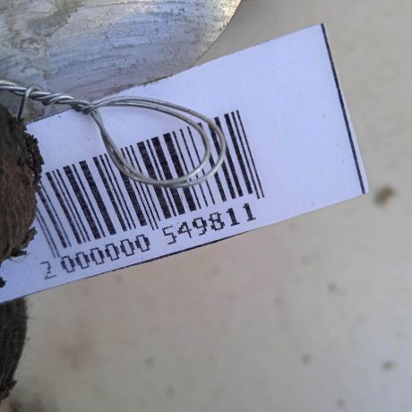 blok-pedalei-pedalnyi-uzel-audi-80-b4-art-85780-big-1