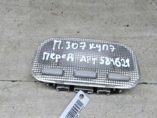 plafon-salona-peugeot-307-art-88445