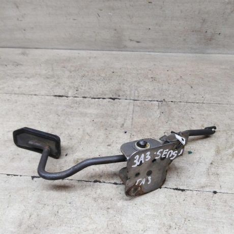 pedal-gaza-zaz-sens-art-95028-big-0