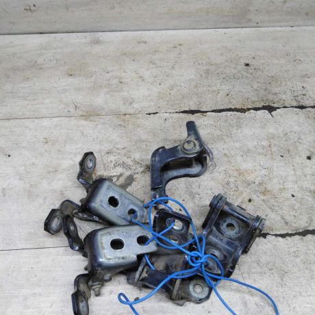 petlia-dveri-renault-fluence-i-art-102358-big-1