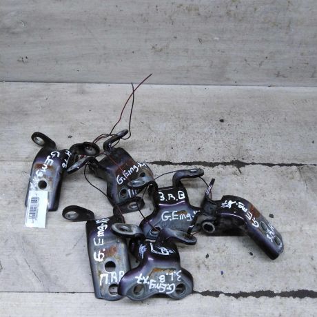 petlia-dveri-geely-emgrand-x7-art-103584-big-0