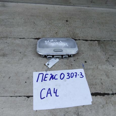 plafon-salona-peugeot-307-art-104702-big-1