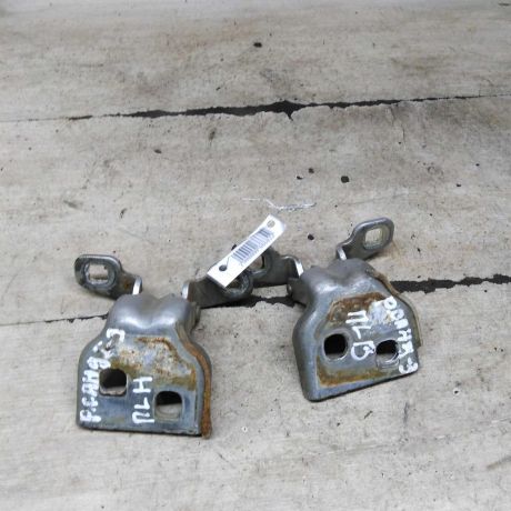 petlia-dveri-levaia-renault-sandero-i-art-108592-big-1