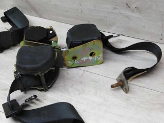 remen-bezopasnosti-zadnii-pravyi-ford-focus-i-art-14687