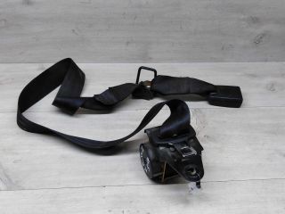 remen-bezopasnosti-zadnii-srednii-nissan-primera-p12-art-73706