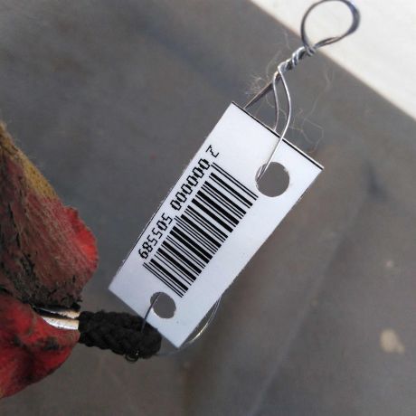 polka-zadniaia-chevrolet-lacetti-xetcbek-art-77947-big-1