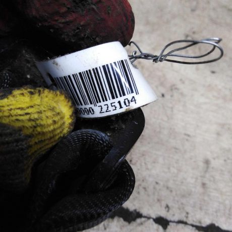 remen-bezopasnosti-zadnii-srednii-volkswagen-polo-5-art-96351-big-1