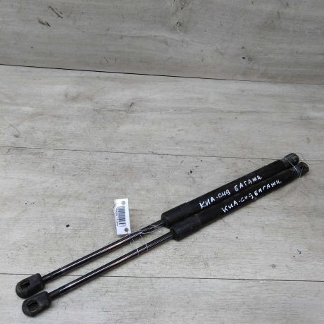 amortizator-kryski-bagaznika-kia-ceed-art-23920-big-0