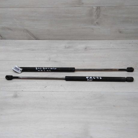 amortizator-kryski-bagaznika-universal-ford-focus-1-rest-art-29745-big-0