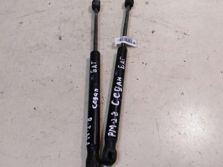 amortizator-bagaznika-stoika-renault-megane-2-sedan-art-34978