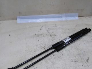 amortizator-bagaznika-renault-sandero-ii-stepway-15gv-art-46705